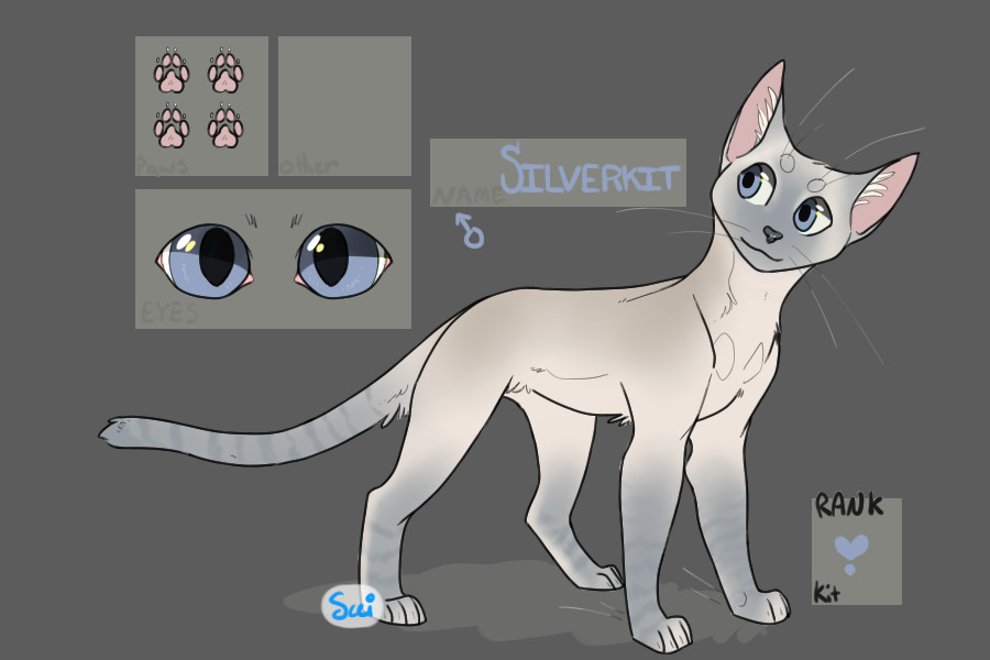 Silverkit - Kit of Cinderclan
