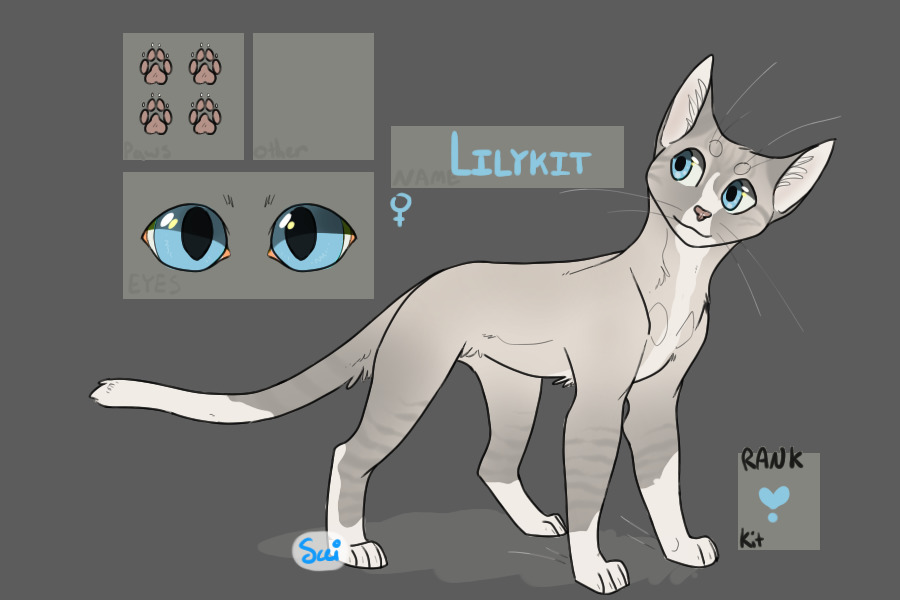 Lilykit - Kit of Cinderclan