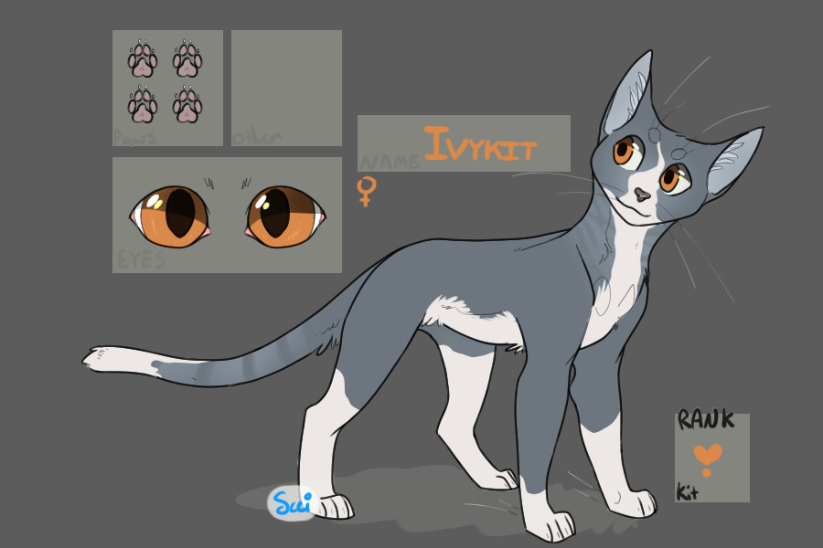 Ivykit - Kit of Cinderclan