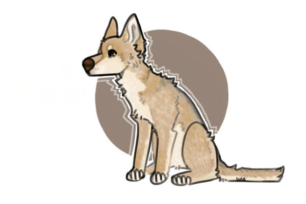 coyote