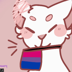 Little pride kitty