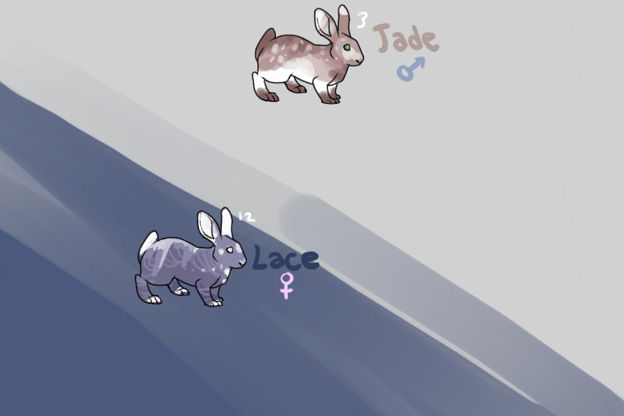 bunny characters