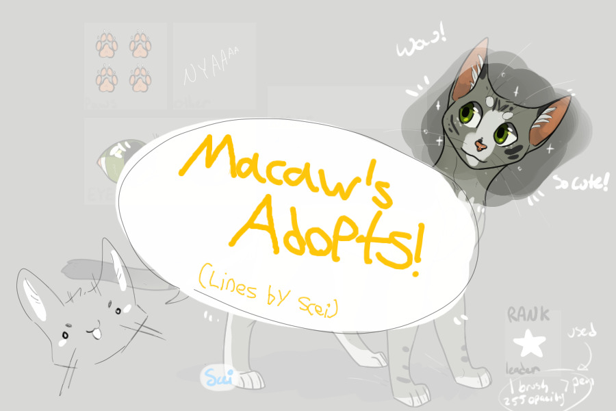 Macaw's Cat Adoptables!
