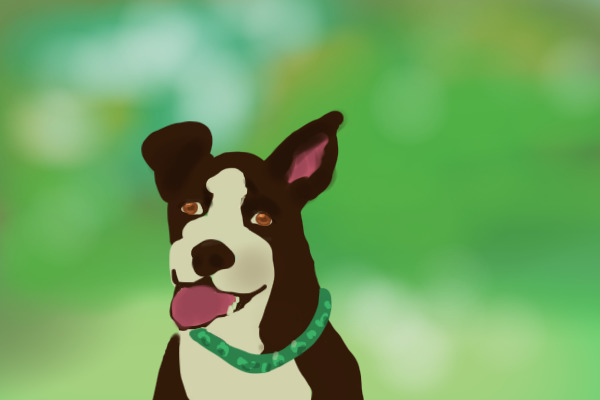 good boy !