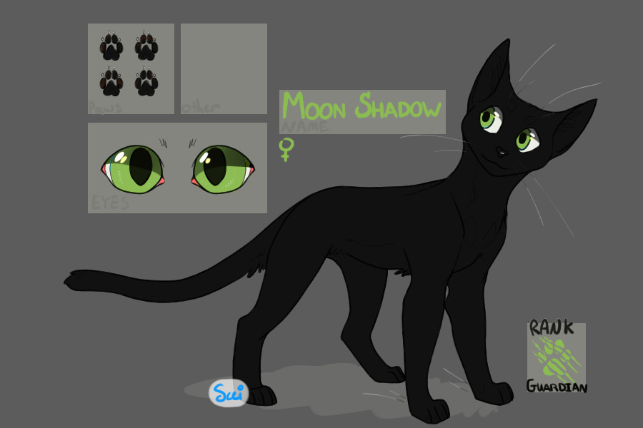 Moon Shadow - Guardian of Cinderclan