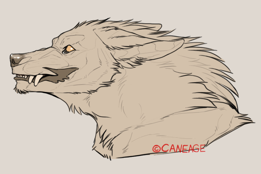 Werewolf Bust