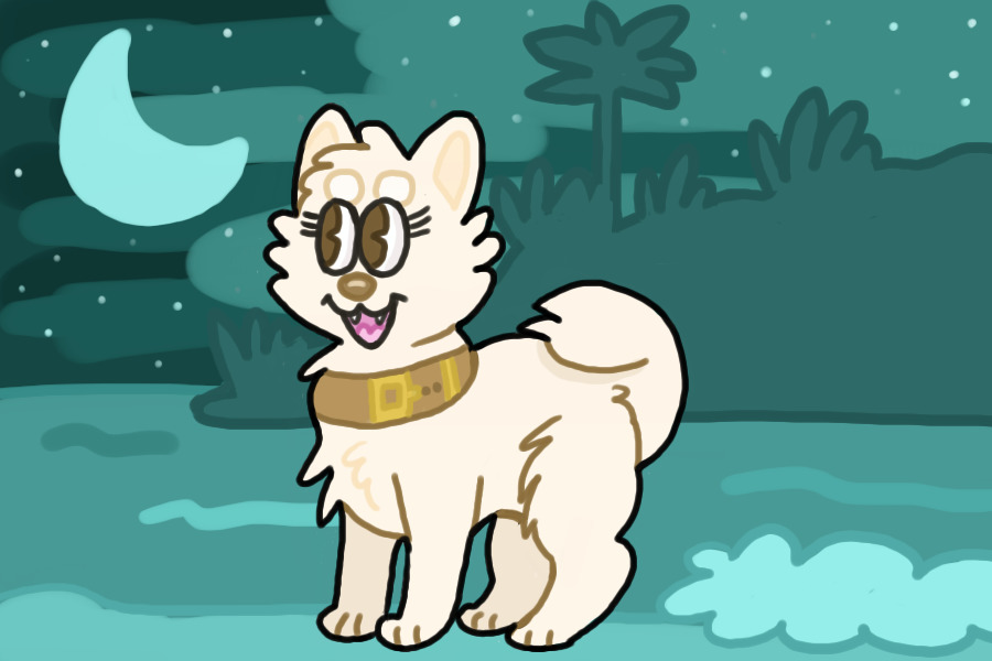 Shiro!