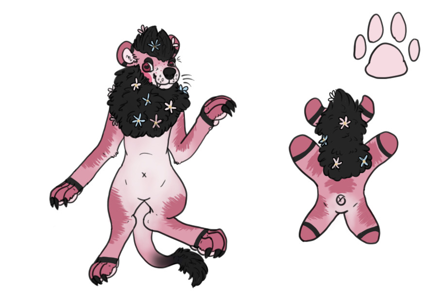 asdghsaghdfjhsgadksadhlaskdjl;