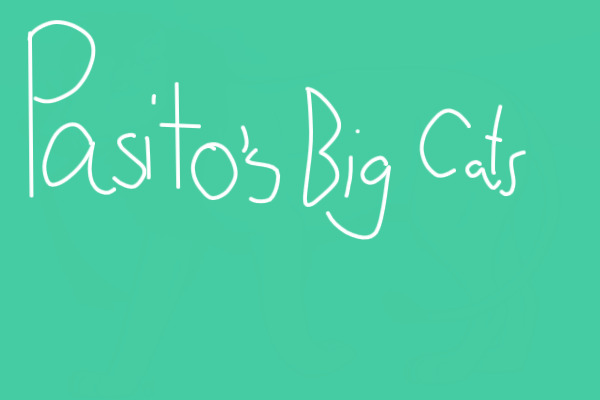 Pasito's Big Cats