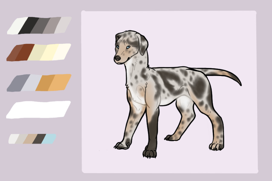 Catahoula Leopard Dog