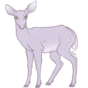 Teak Deer - #059