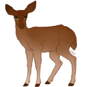 Teak Deer - #060