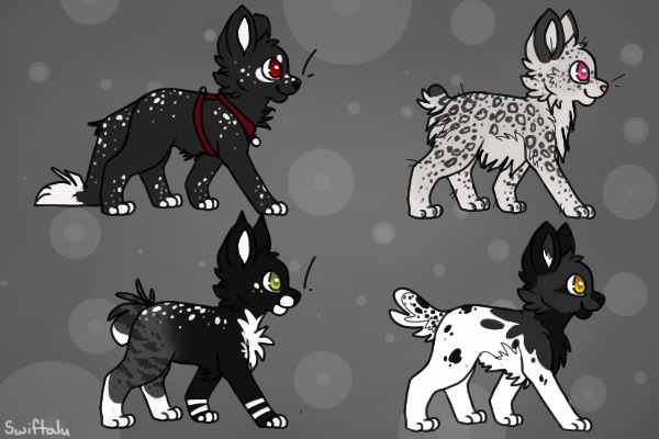 Cat designs - Adopts closed