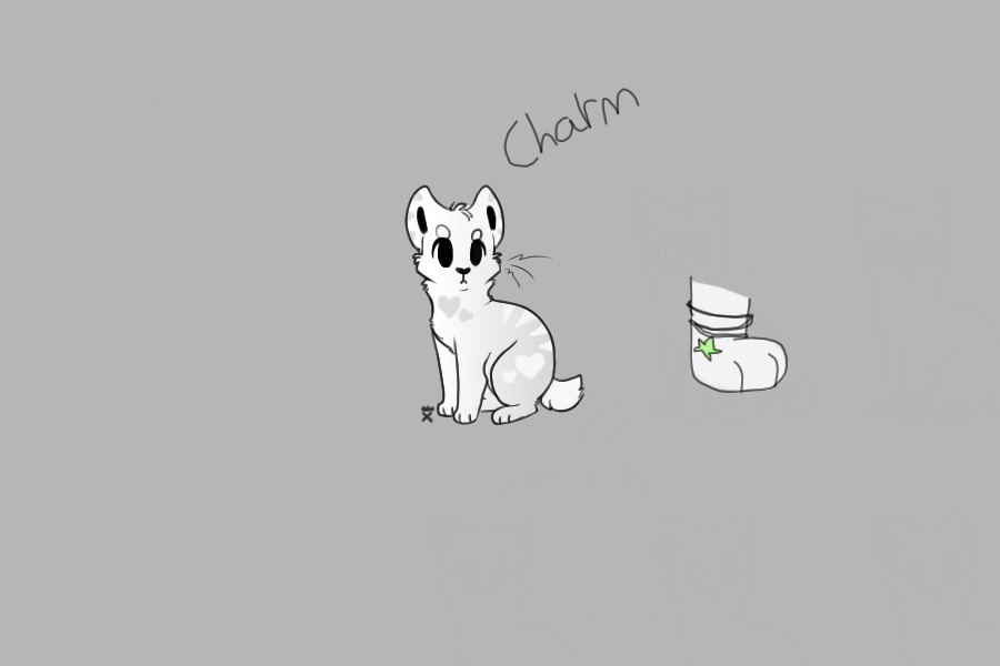Charm