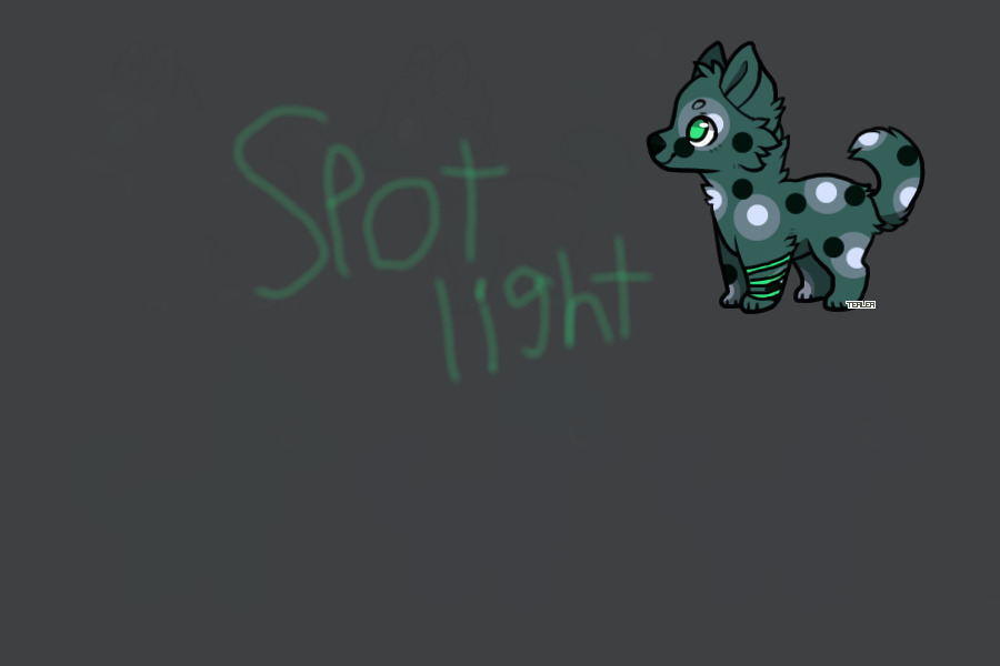Spotlight
