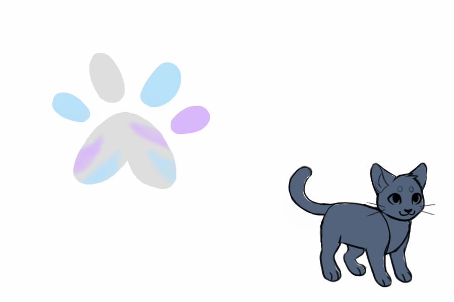 For the color the paw, get a cat