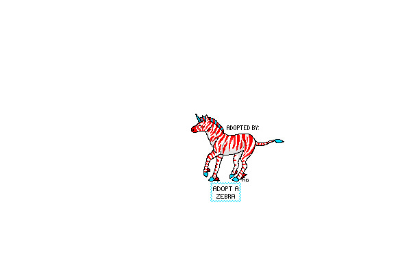 Adopt a Zebra!