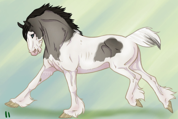 Draft shop- grullo tobiano splash #11?sold