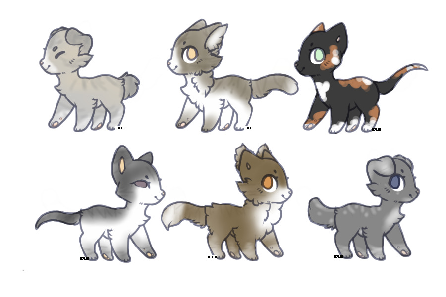 Cat adopts!