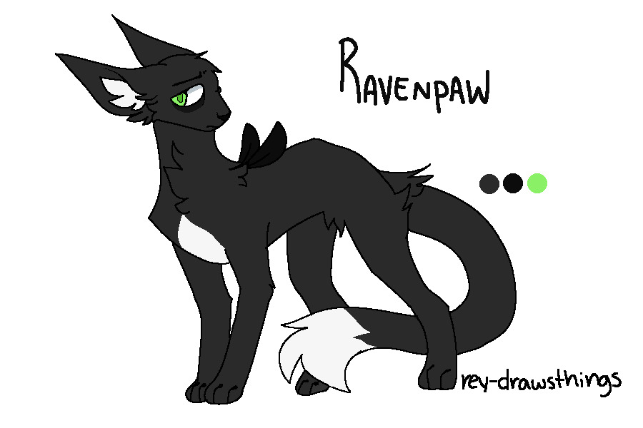 Ravenpaw Design