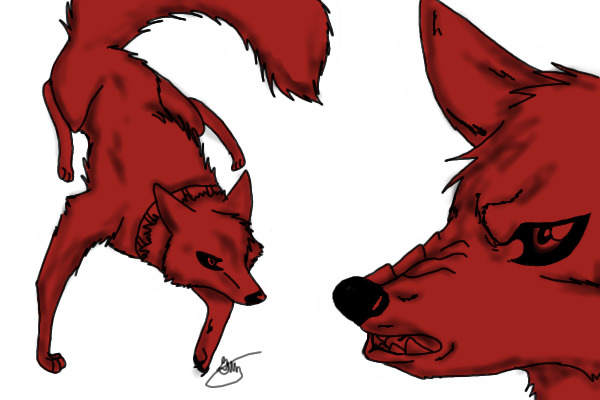 Epically Posed, Collared, Angry Fox Reference Sheet