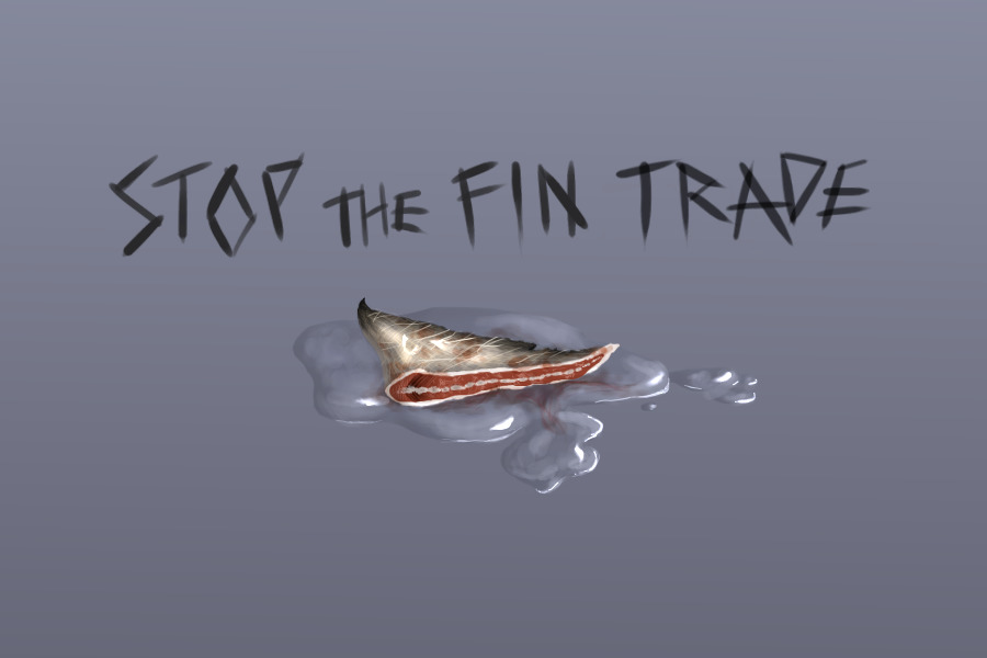 stop the finning