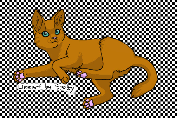 Coloured - Kitty
