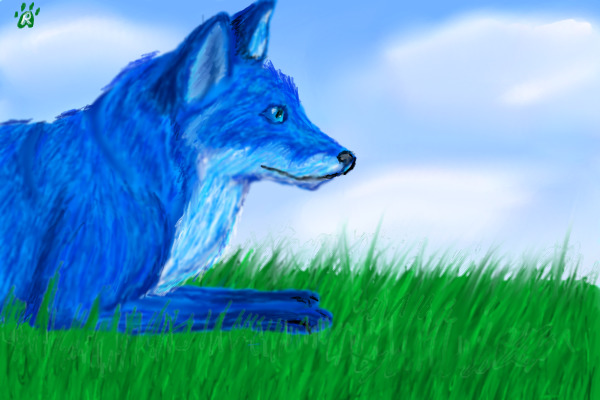 Blue Fox :3