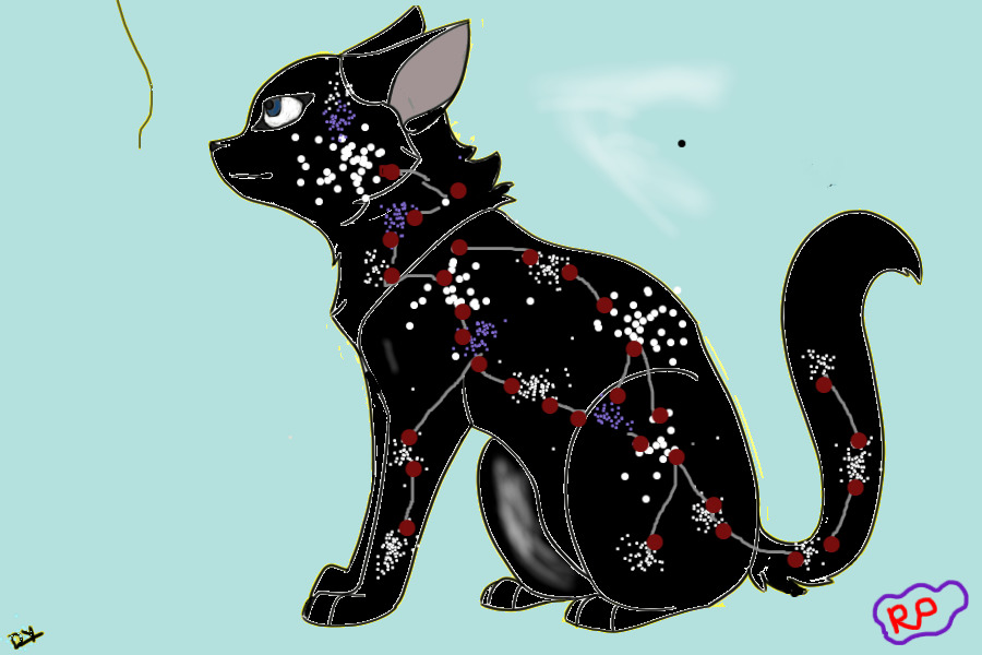 Constellation Cat