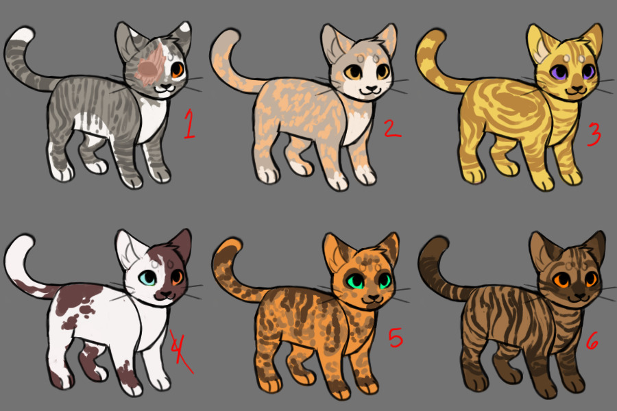 1/6 Adopts