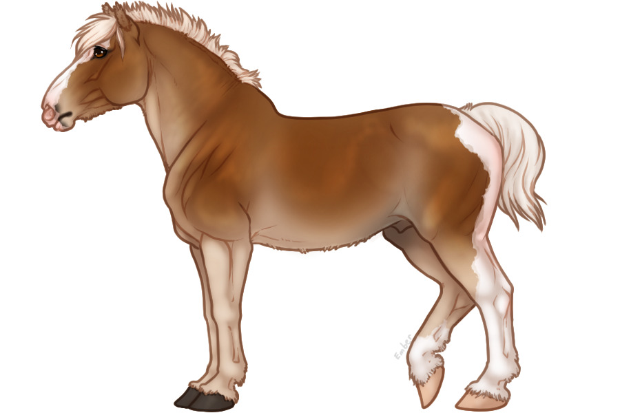 AISP #31 - Flaxen Chestnut Pangare Tobiano