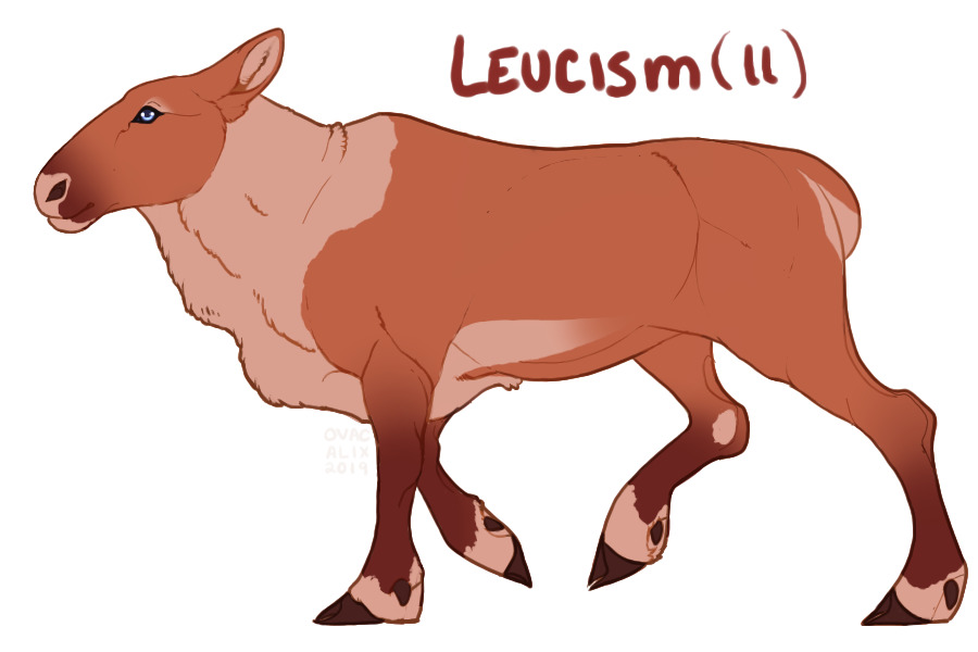 Leucism