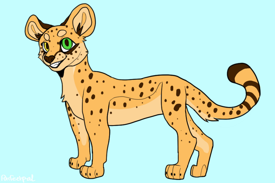 itsa cheetah