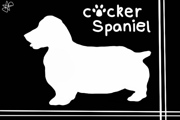 Cocker Spaniel Adopts