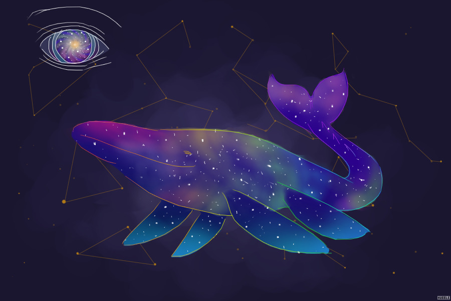 Galaxy Whale Entry