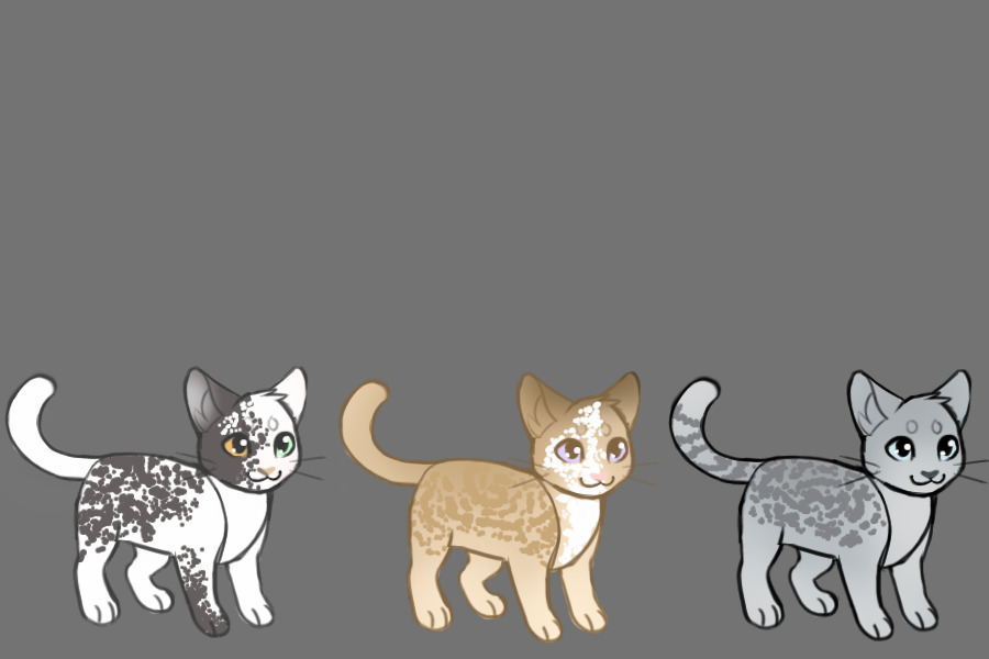 Kit Cats