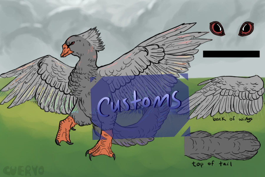 ❧ dracocisnes customs