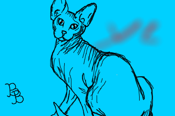 blue cat