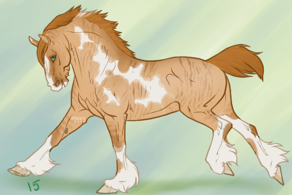 Draft shop- skewed dun (brindle) #15