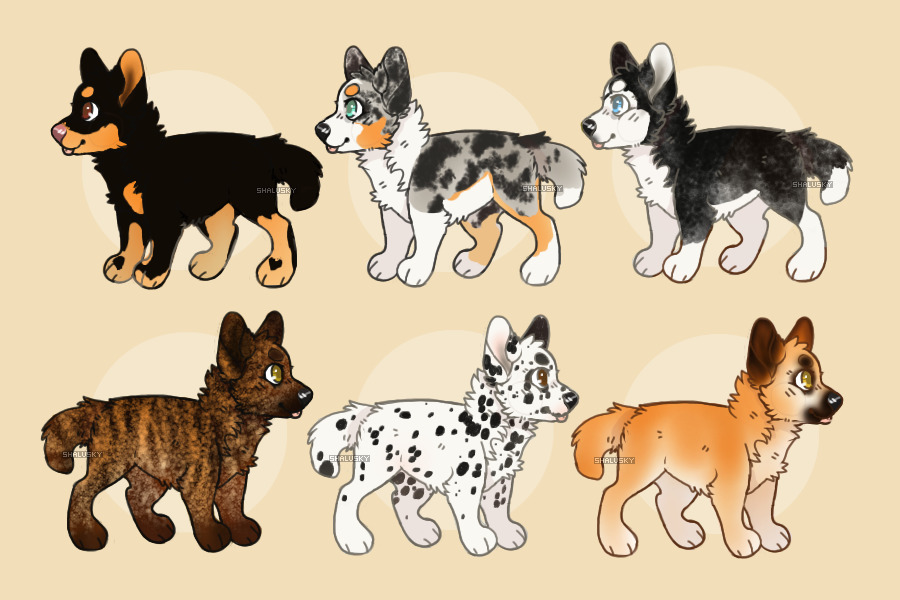 Dog Adoptables (shalusky's lines) [0/6 available]