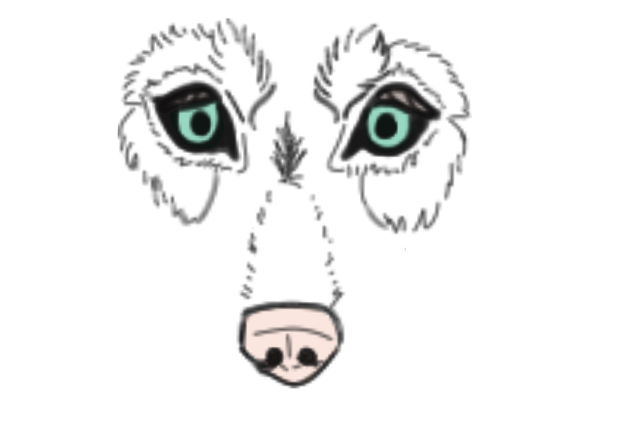 Late doodles