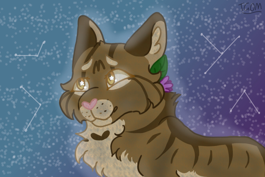 Remember The Love That I Sent (Warrior Cats Spoilers)