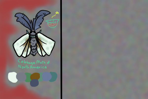 Cabbage Moth for --beryl--