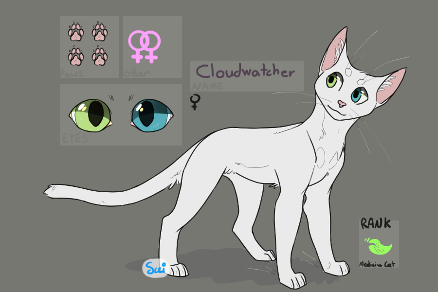 Cloudwatcher || medicine cat