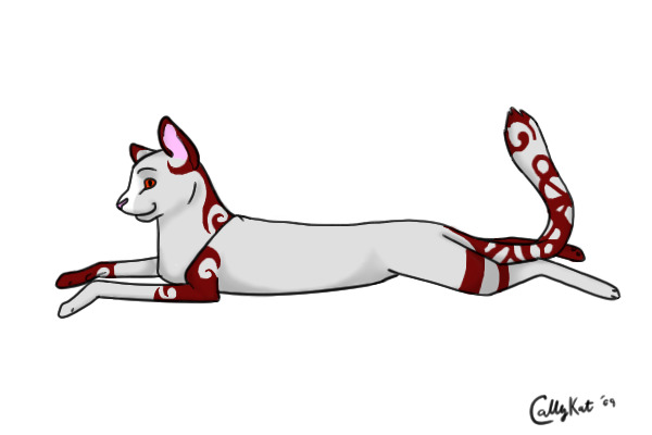 Random red-and-gray cat