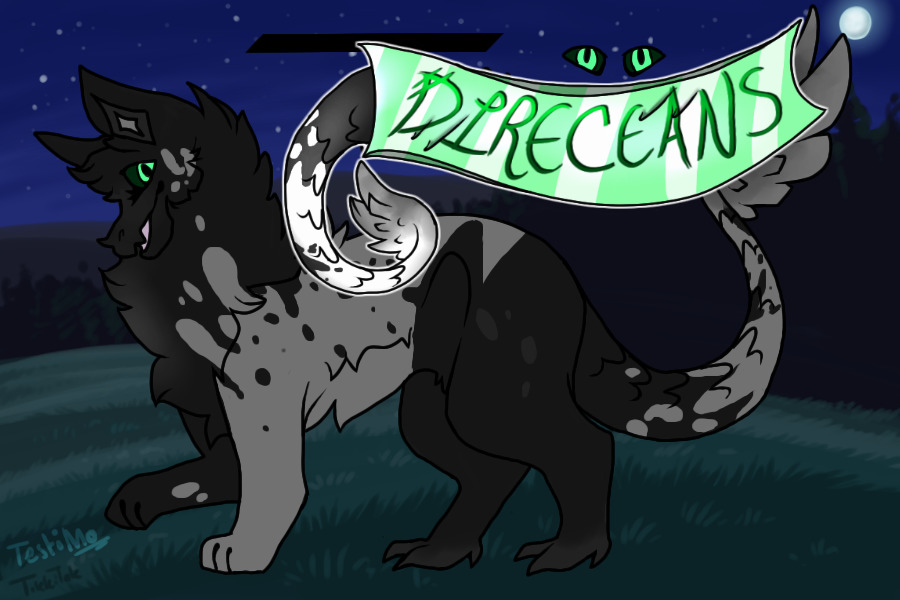 direcean adopts - open!