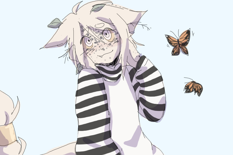 request for kupa