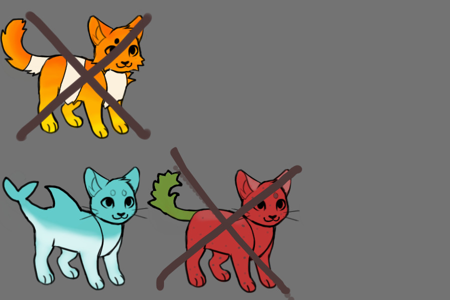 Cat adopts for sale