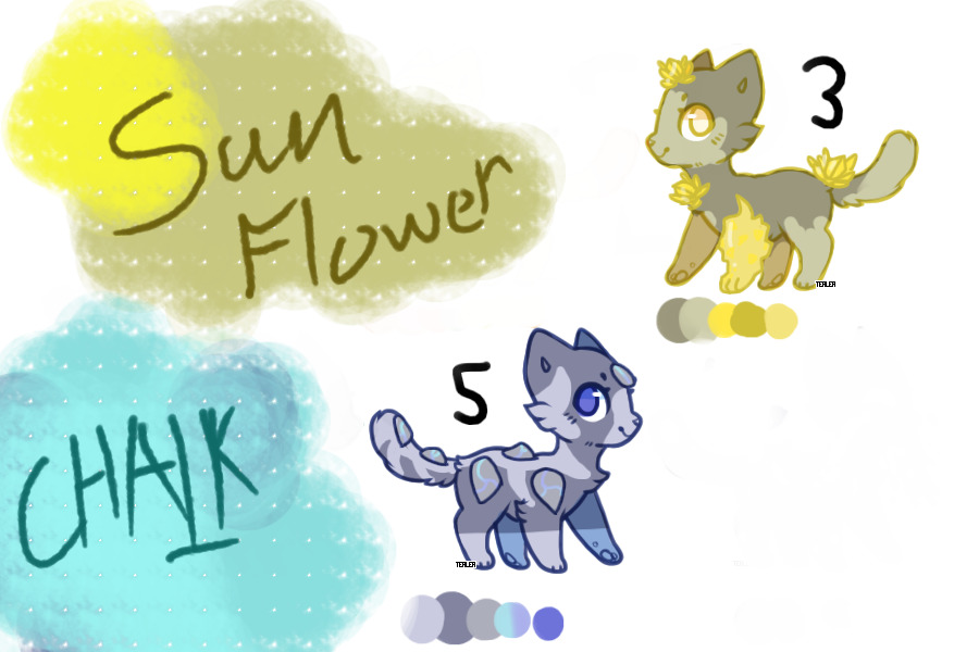 Meet Chalk And SunFlower X