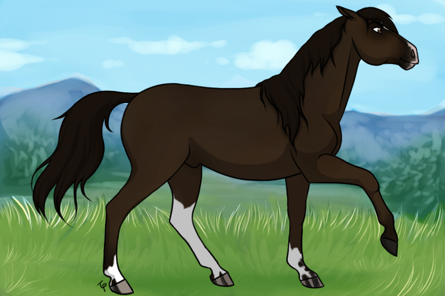 Entry #3 - Wild Bay Guy